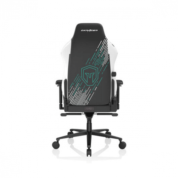 , DXRacer Craft Pro Immortals Unique Embroidery Ergonomic Support Gaming Chair &#8211; Black/White