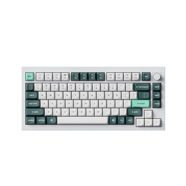 Keychron Q1 HE 75% RGB Backlight Swappable Fully Assembled Knob, QMK Wireless Mechanical Gaming Keyboard (Gateron Double-Rail Magnetic Nebula Switch) - Shell White - English/Arabic Keyboard