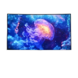 SADES BC-Pelagia 24 inch FHD 200Hz Curved Monitor