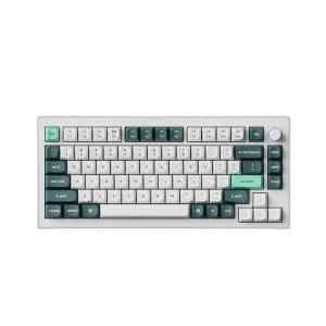 Keychron Q1 HE 75% RGB Backlight Wireless Keyboard, Nebula Switch