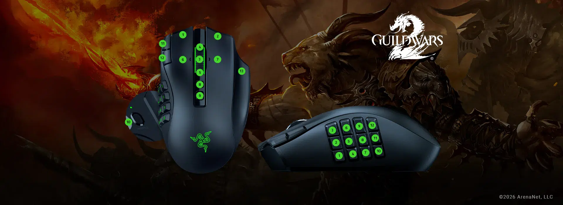 Razer Naga V3 Pro button mapping illustration for Guild Wars 2