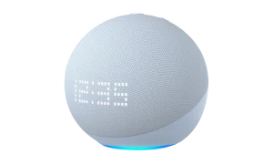 Smart Speakers