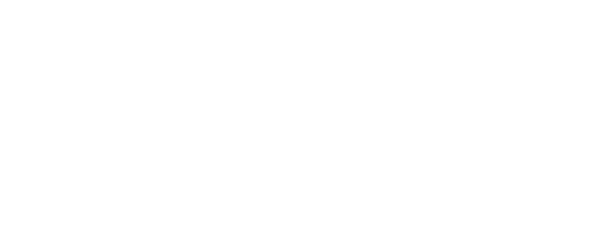 Cyber Clean