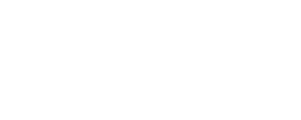 RaidMax
